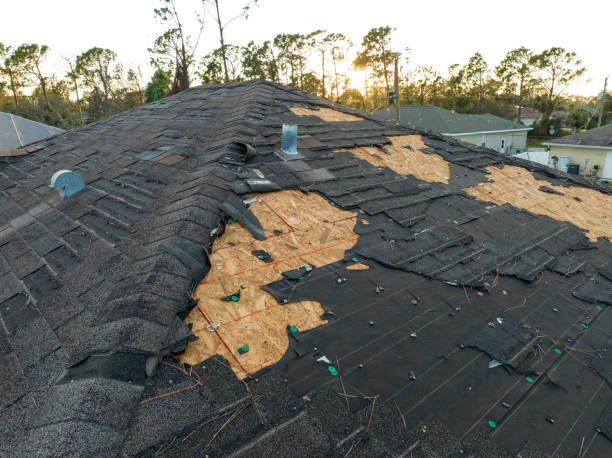 Best Asphalt Shingle Roofing  in Melissa, TX